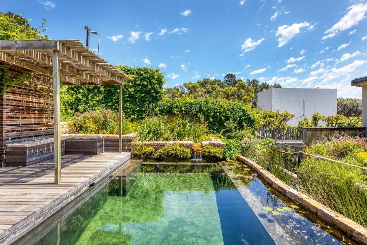 Solar-Powered Mountain Retreat With Natural Pool 케이프타운 외부 사진